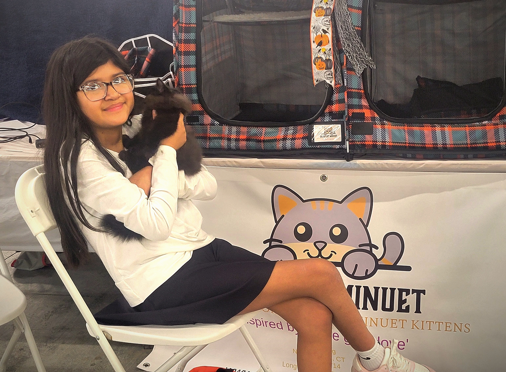 Minuet kitten